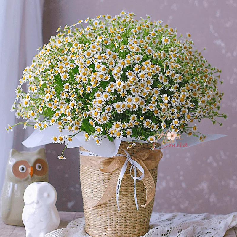 hoa 20 10 tặng người yêu