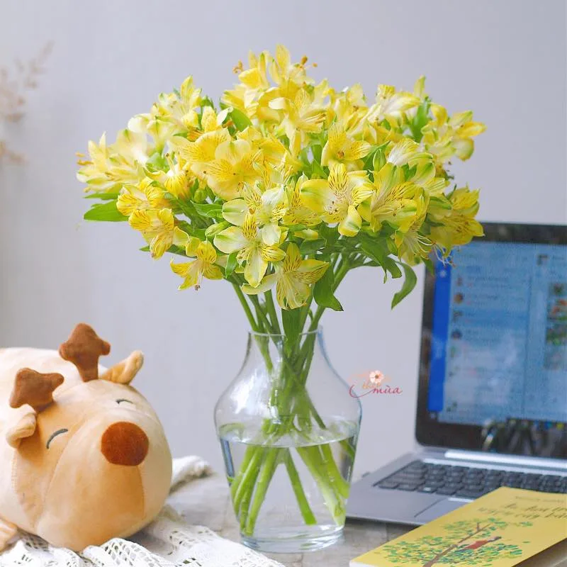 hoa 20 10 tặng người yêu