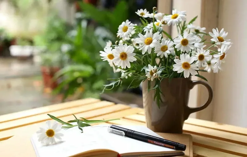 hoa 20 10 tặng người yêu